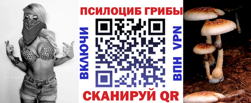 Псилоцибиновые грибы прущие грибы  Купить где  Чусовой 